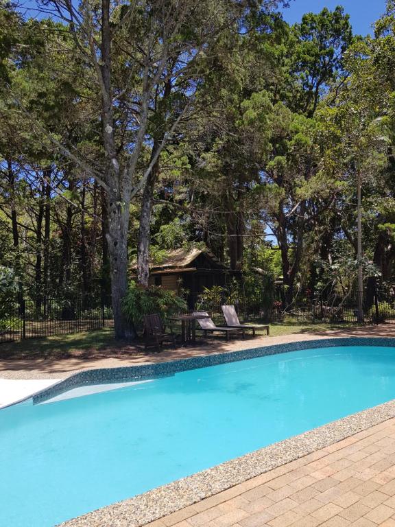 a swimming pool in a yard with trees at Byron Bay Rainforest Resort in Byron Bay