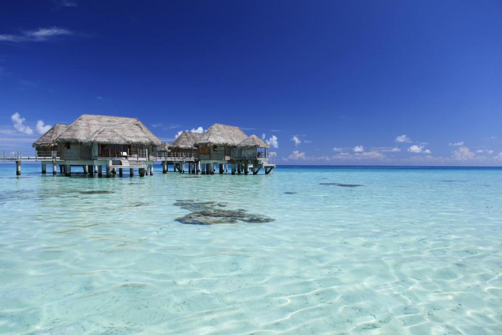 a group of bungalows in the water in the ocean at Le Tikehau by Pearl Resorts in Tikehau