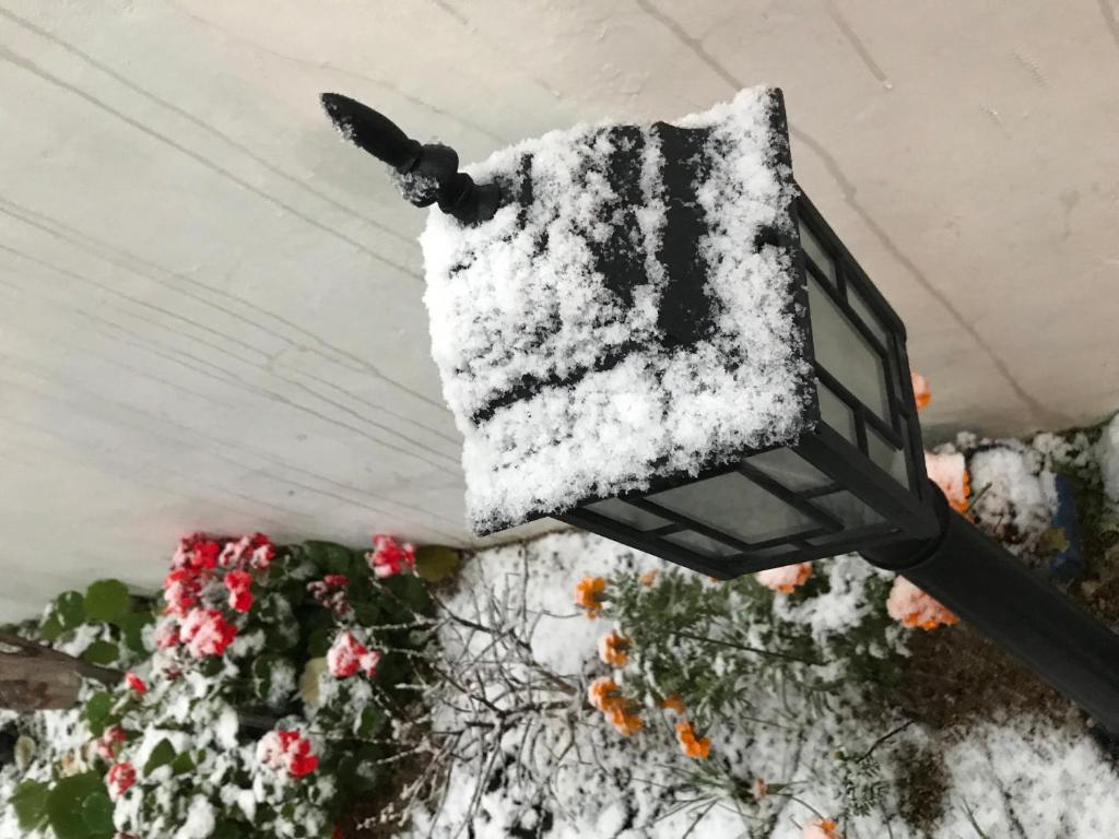 Hanok Guesthouse Suni im Winter