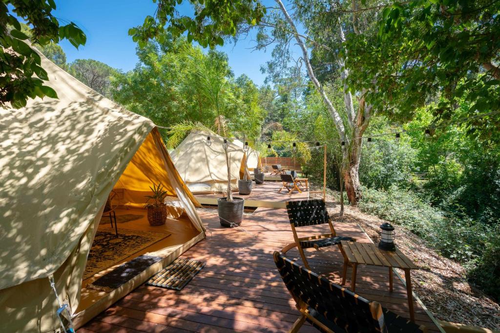 Castlemaine Gardens Luxury Glamping في كاسلمين: خيمة فيها كراسي وطاولة امامها