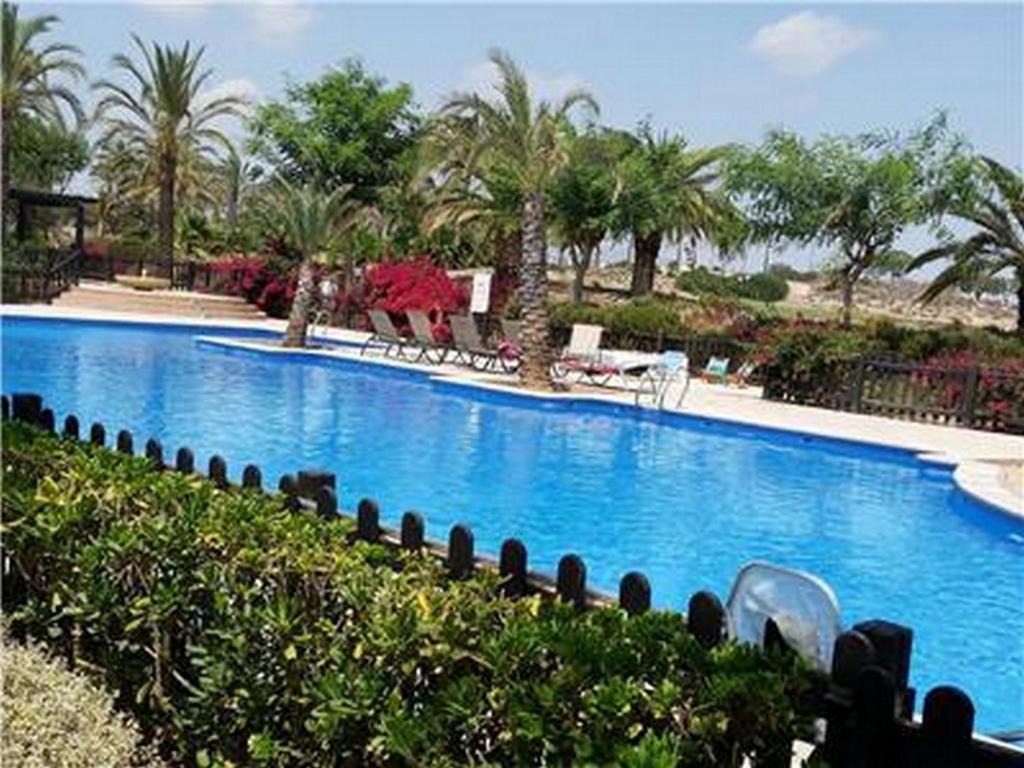 une grande piscine bleue avec des chaises et des palmiers dans l'établissement Casa Burnett - A Murcia Holiday Rentals Property, à Roldán