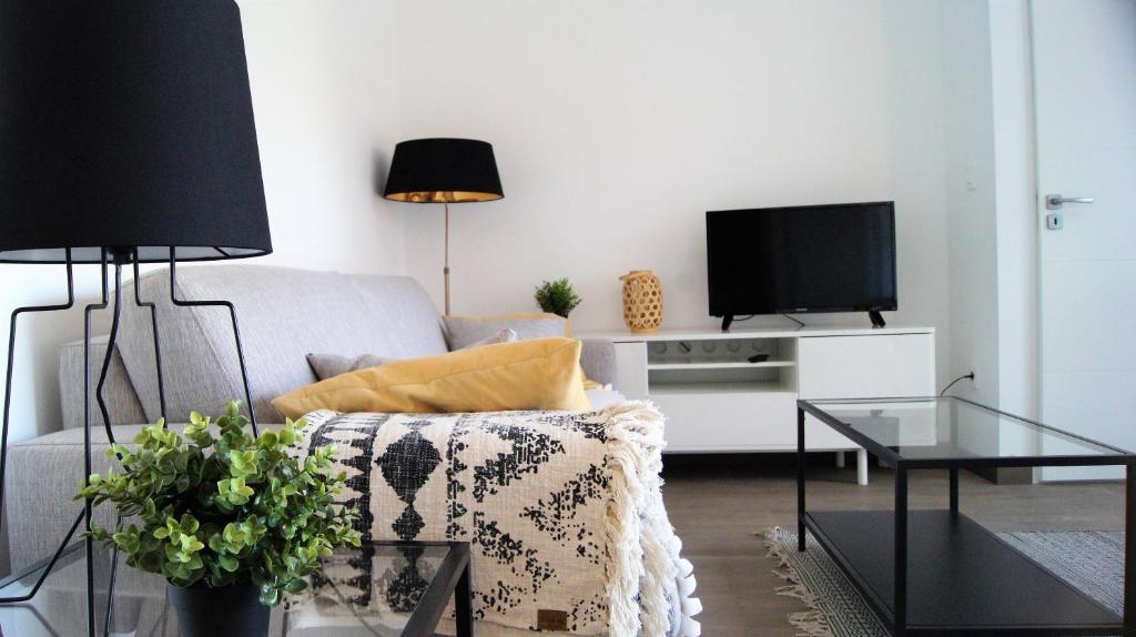 un salon avec un canapé et une télévision dans l'établissement Little Suite - Albert, à Lille