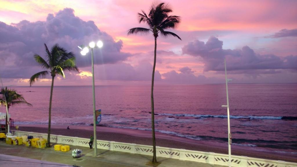 vistas a una playa con palmeras y al océano en Flat na Avenida Oceanica, en Salvador