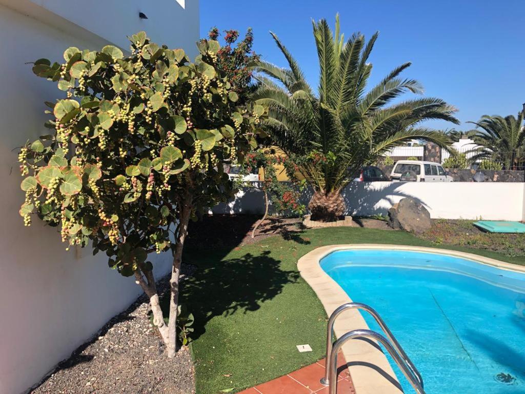 Royal Park Guesthouse, Corralejo, Spain - Booking.com