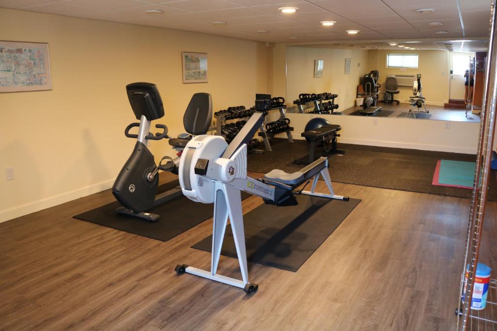Fitness centrum a/nebo fitness zařízení v ubytování The Village Inn