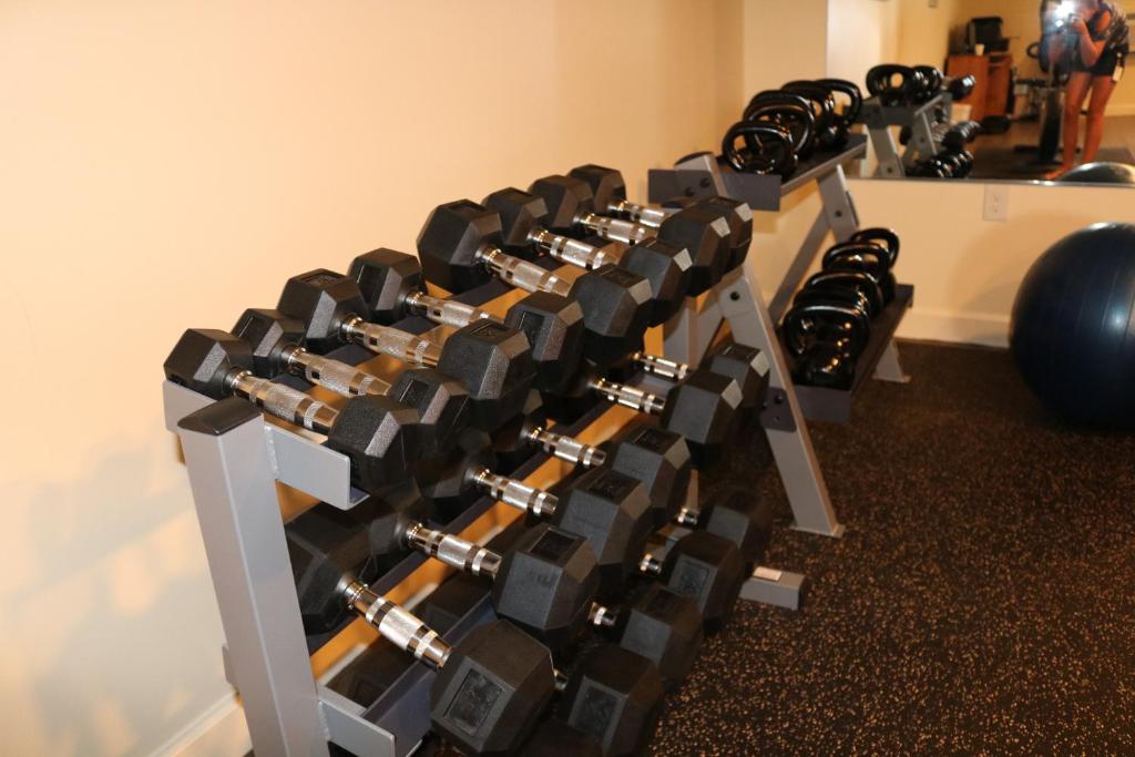 Fitness centrum a/nebo fitness zařízení v ubytování The Village Inn