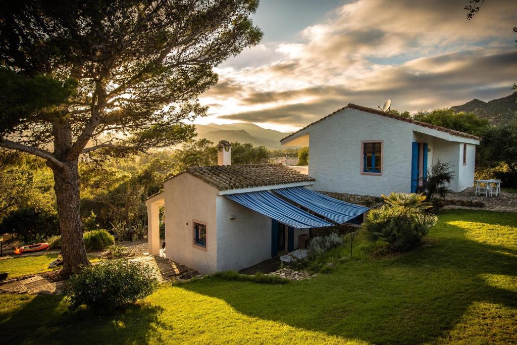a white house with a tree in the yard at Casa Casciu La collina sul mare in Costa Rei