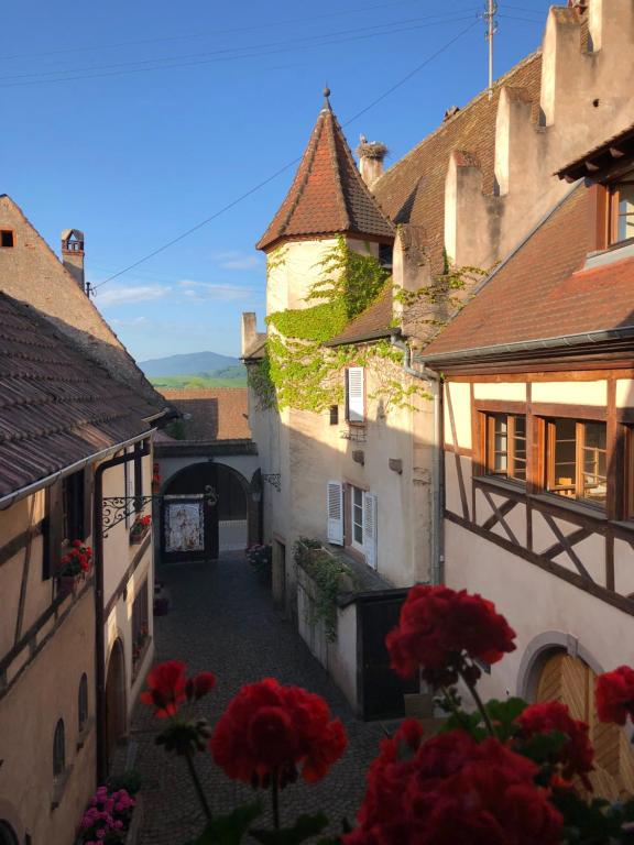 eine Gasse zwischen zwei Gebäuden mit roten Blumen in der Unterkunft Le Grenier Des Arômes Au Domaine Wittmann in Mittelbergheim