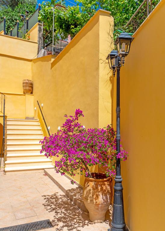 Zahrada ubytování Corfu Secret Hotel