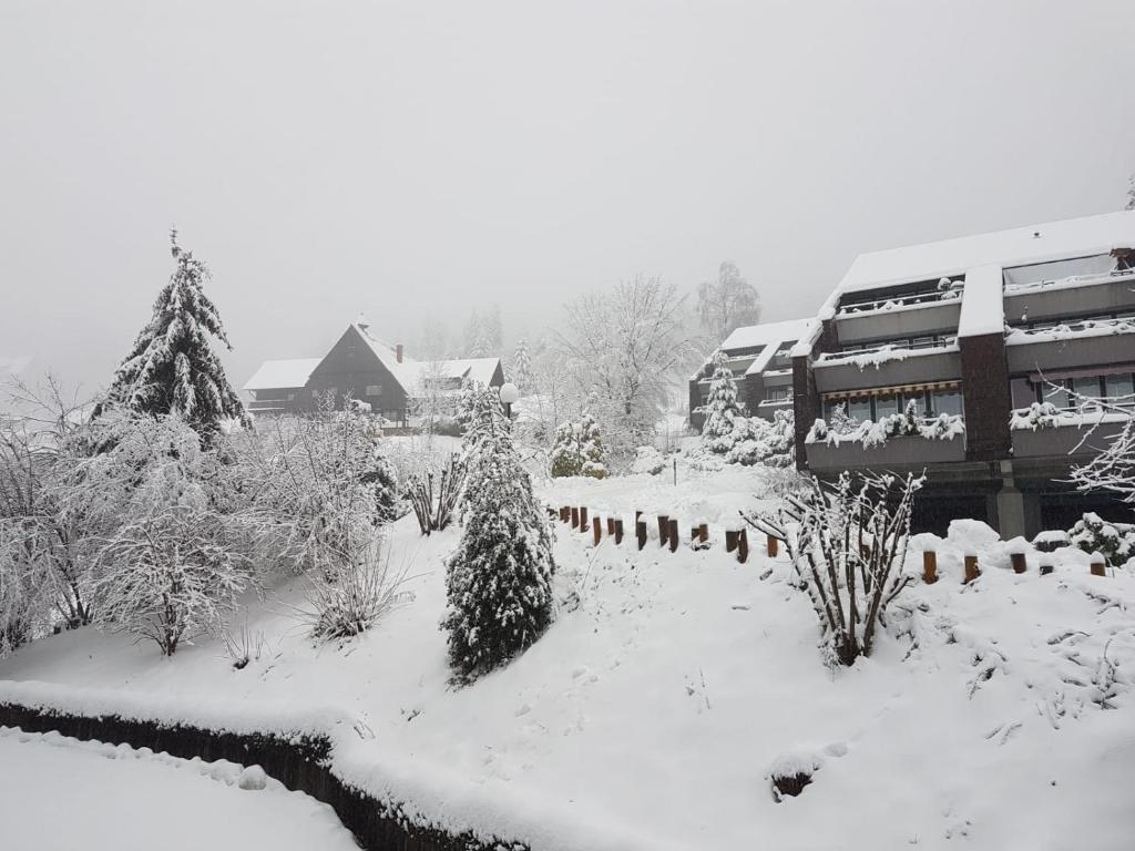 Ferienwohnung im Terrassenpark Sasbachwalden - Departamento
