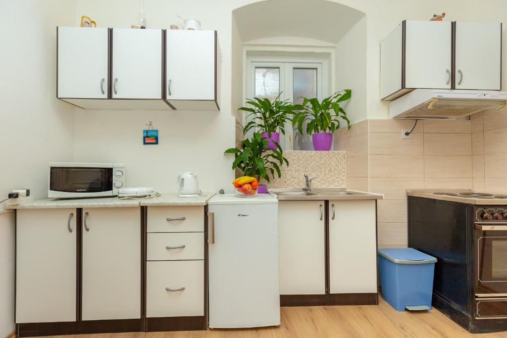 Kuchyňa alebo kuchynka v ubytovaní Apartment Matić