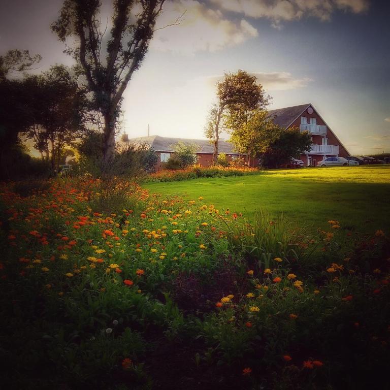 Zahrada ubytování Coral Gables Guesthouse & Campsite