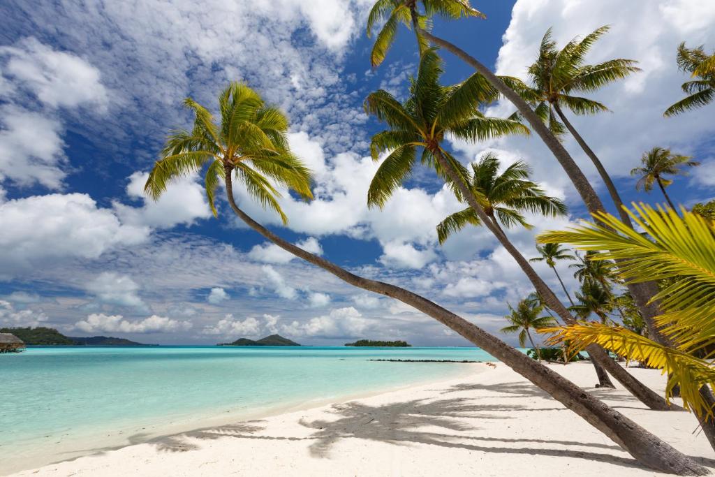 Le Bora Bora by Pearl Resorts، بورا بورا – أحدث أسعار 2023