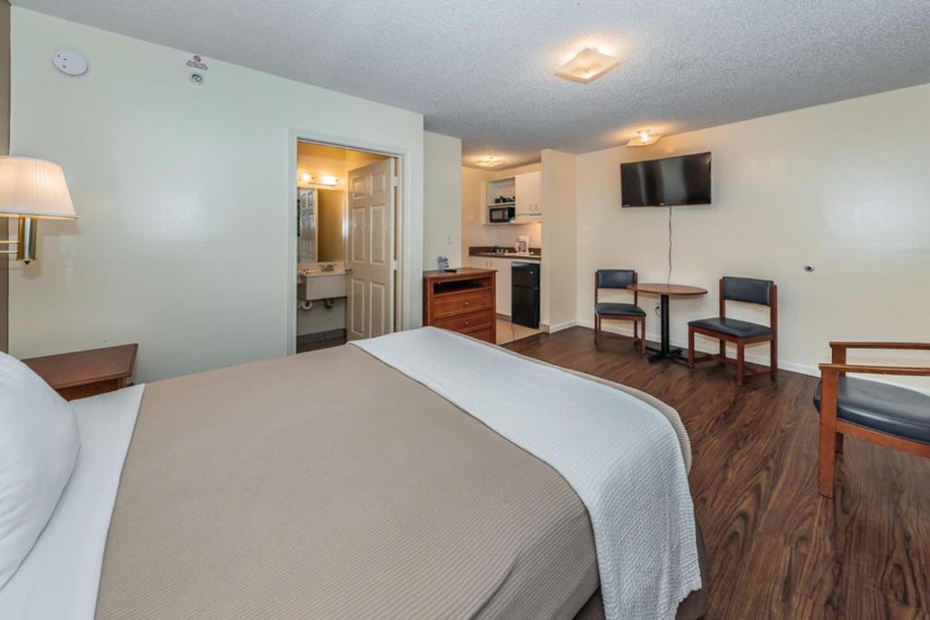 Tampa Bay Extended Stay Hotel - Reine Améliorée Non-fumeurs, Kitchenette