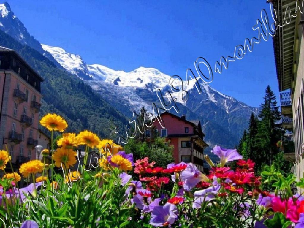 a field of flowers in front of a mountain at TOP 4810 MONT-BLANC in Chamonix-Mont-Blanc