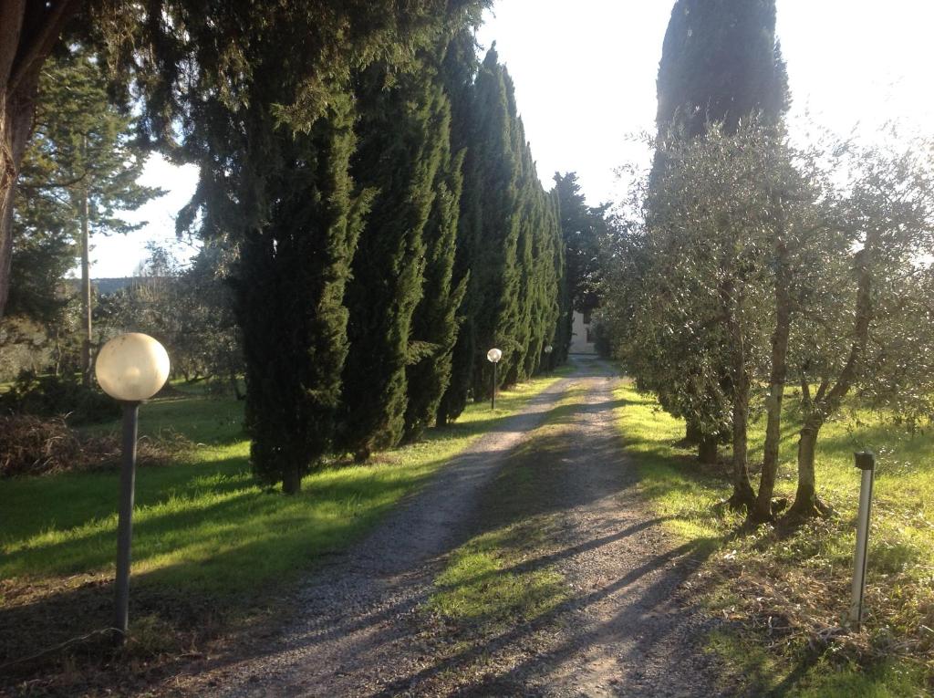 un camino de tierra con árboles a ambos lados en Sunshine Suites, en Florencia