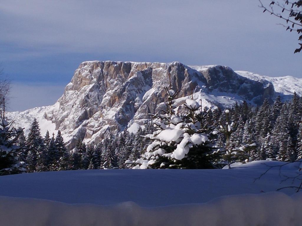 Apartment Durmitor - 16