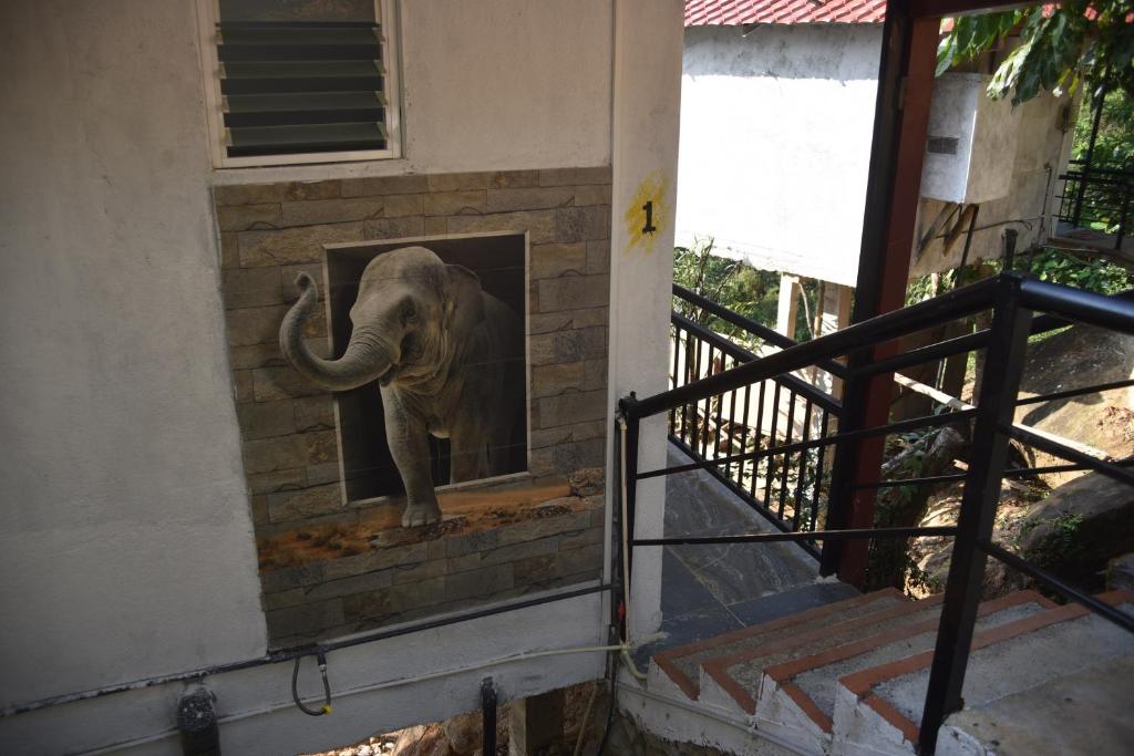 White Villa Kitulgala - 6