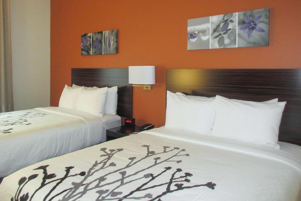 Sleep Inn & Suites Oregon - Madison photo