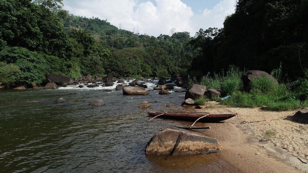 White Villa Kitulgala - 10