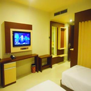 TV a/nebo společenská místnost v ubytování Hotel Olive