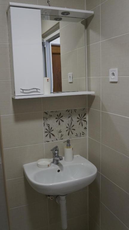 Koupelna v ubytování Rondović Apartmani - Durmitor