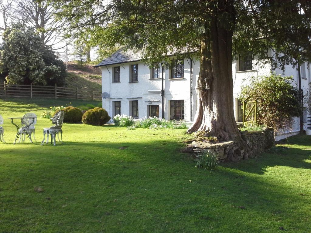 una casa blanca con un árbol en el patio en Holmeshead Farm en Ambleside