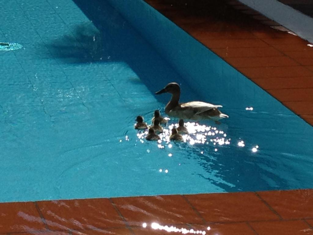 Aparthotel Al Lago - Resim 37