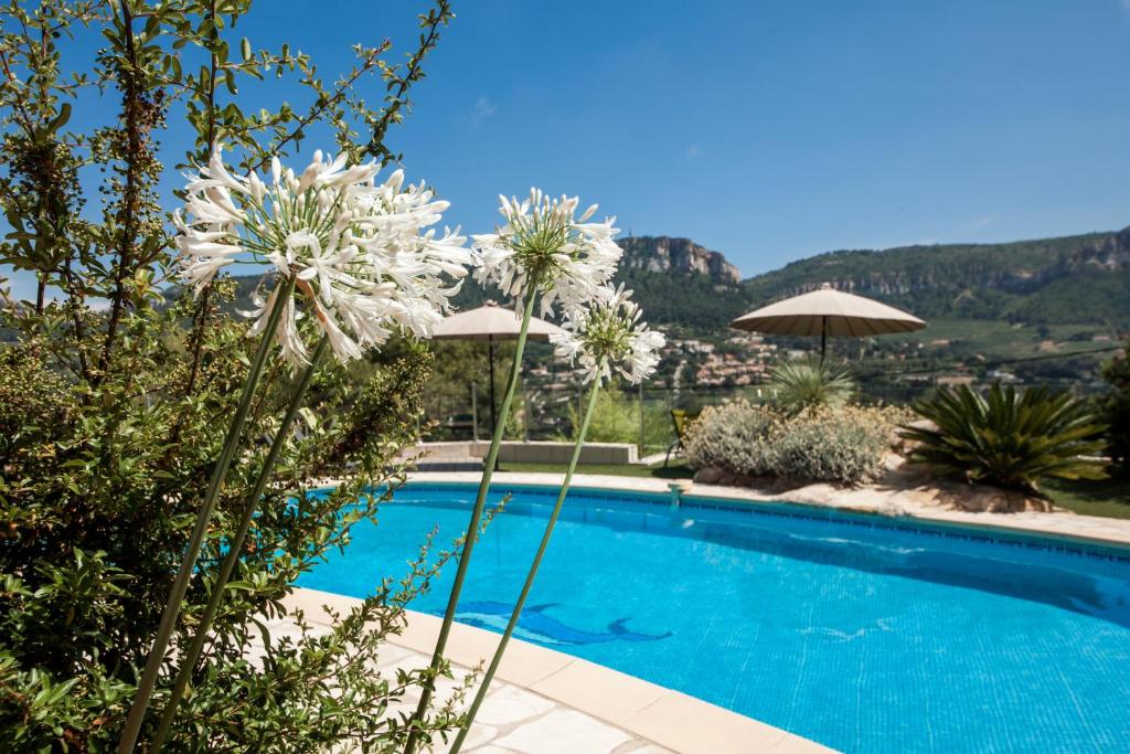 a swimming pool with white flowers and a mountain at La Demeure Insoupçonnée in Cassis