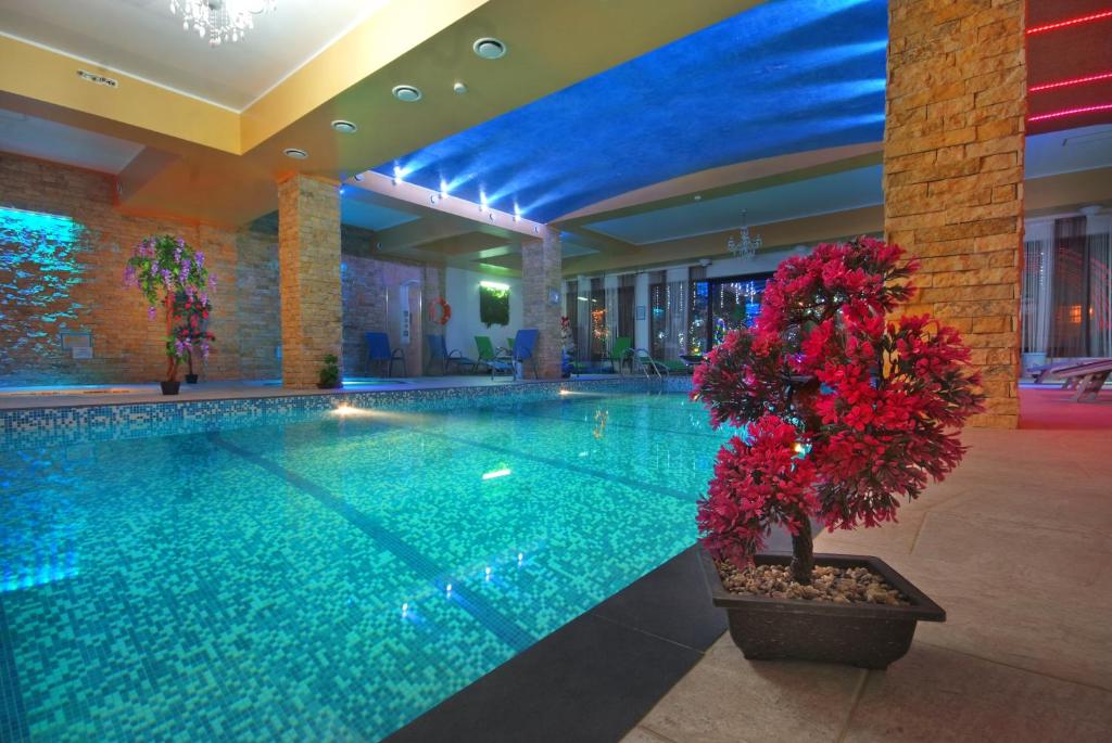 a large swimming pool in a hotel with a plant at Portile Ocnei in Târgu Ocna