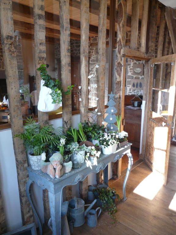 a room with a table with potted plants on it at Le Clos des Anges in Dingé