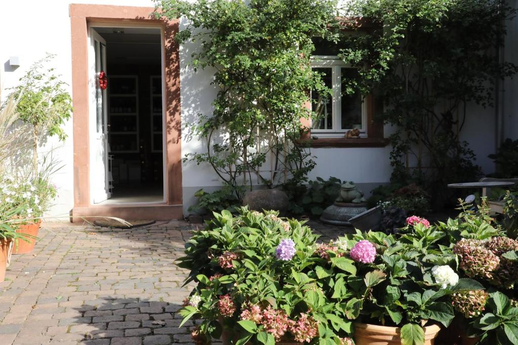 Zahrada ubytování Julius in der Pfalz