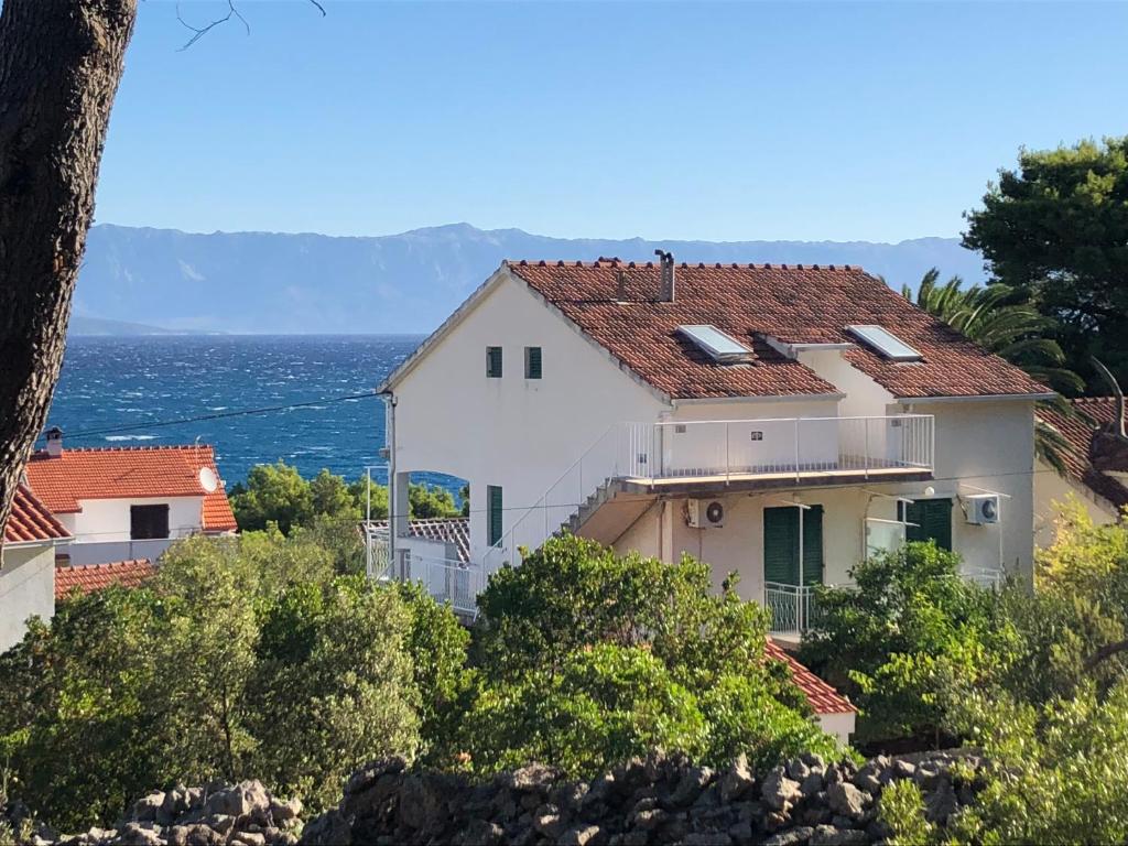 Příroda nedaleko apartmánu
