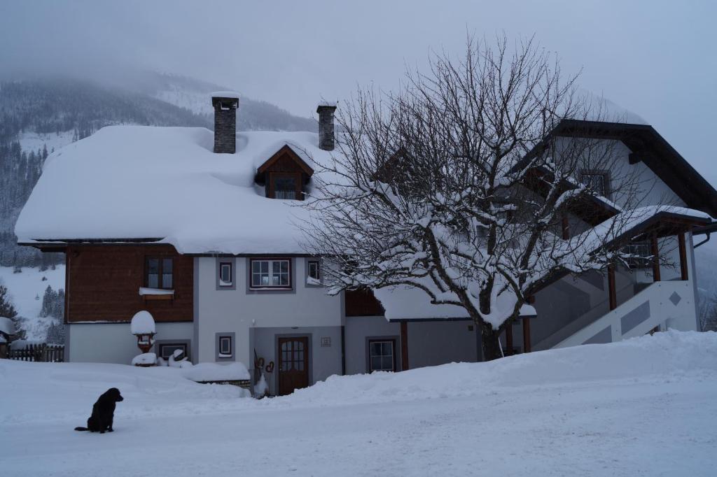 Biobauernhof Spieszschweiger during the winter