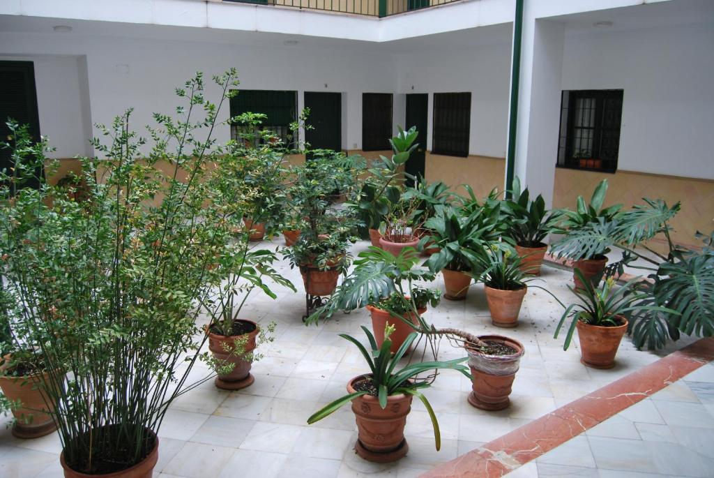 El Rincón de Aurora - 10