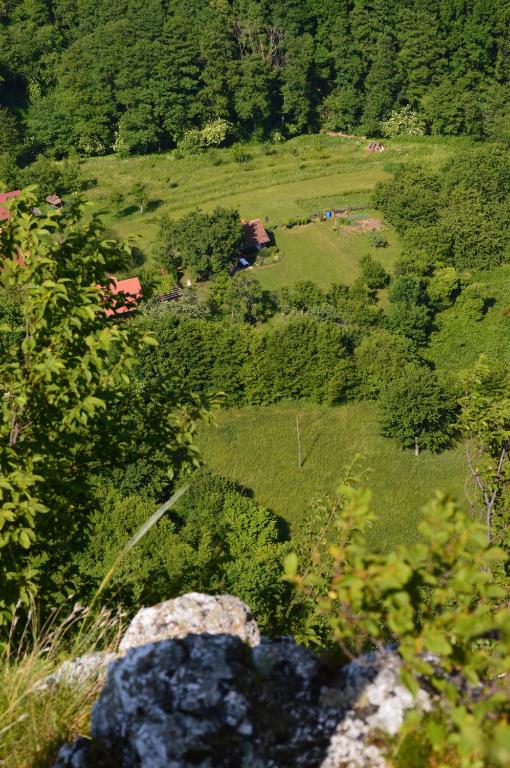 Priroda u blizini koliba