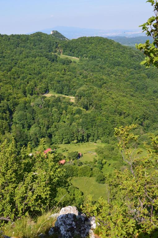 Priroda u blizini koliba