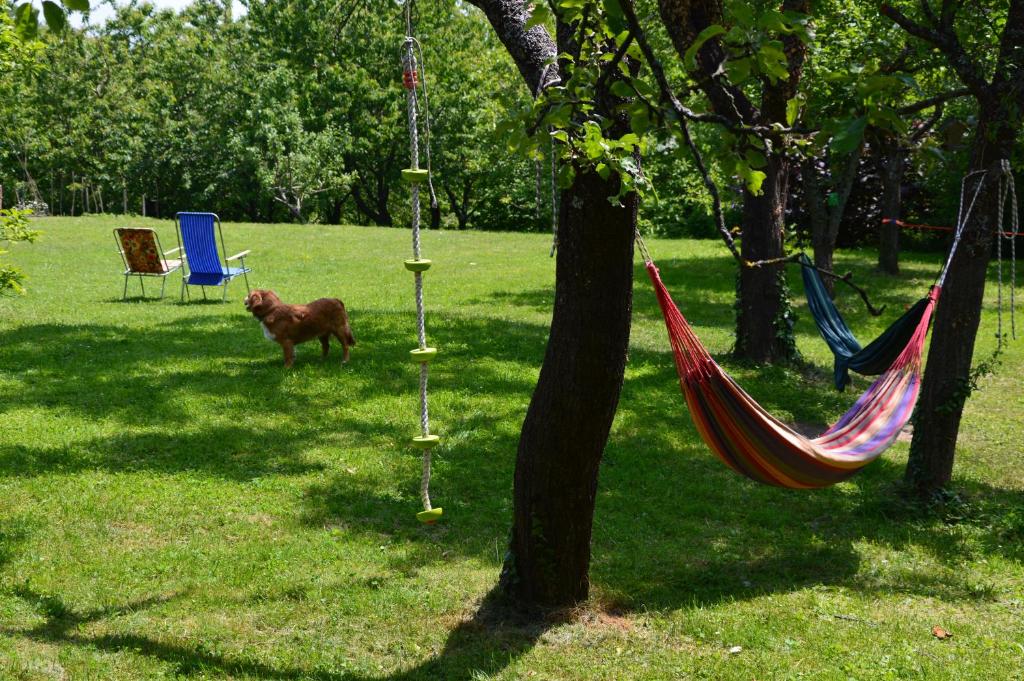 Vrt u objektu Na Okić - a private forest oasis