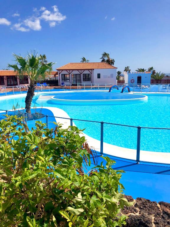 a swimming pool with blue water and a palm tree at La Casita Sun Beach in Caleta De Fuste