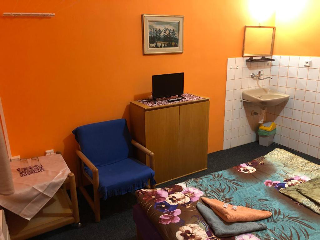 TV a/nebo společenská místnost v ubytování Hotel Na Trojce