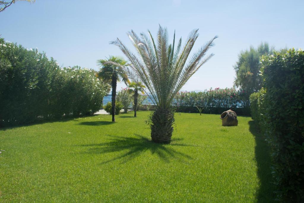 Fotografie z fotogalerie ubytování Romantic Seafront Studio - Dream Garden v destinaci Platanidia