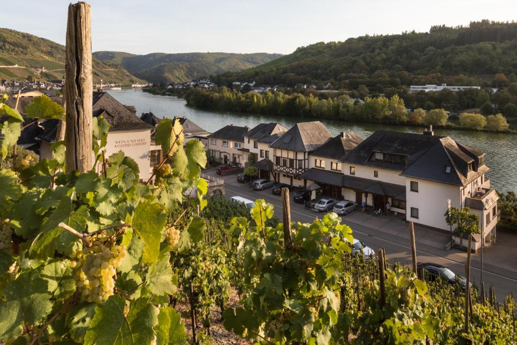 a town with a river and a bunch of vines at Hotel garni "Café im Hamm" in Zell an der Mosel