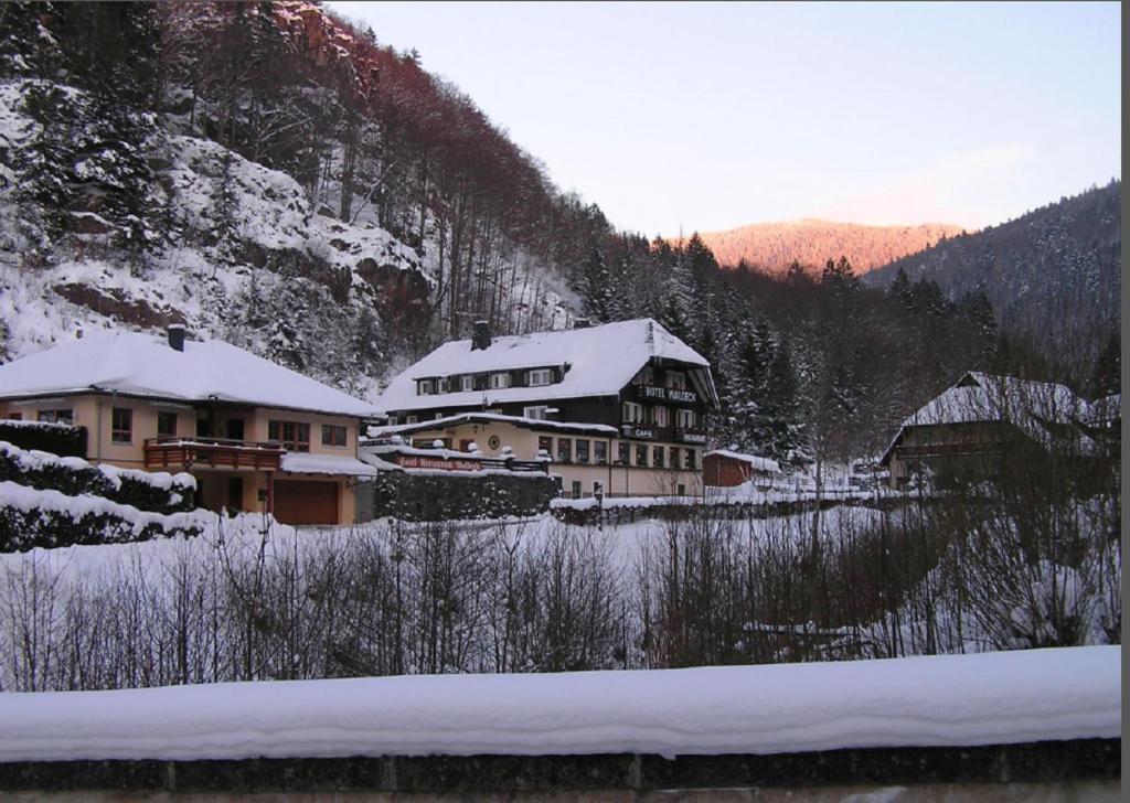 Příroda nedaleko hotelu