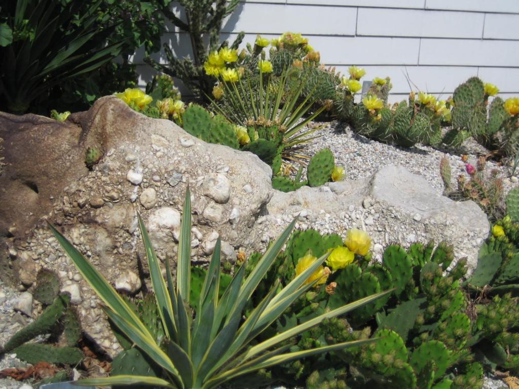 Bed & Breakfast - 12