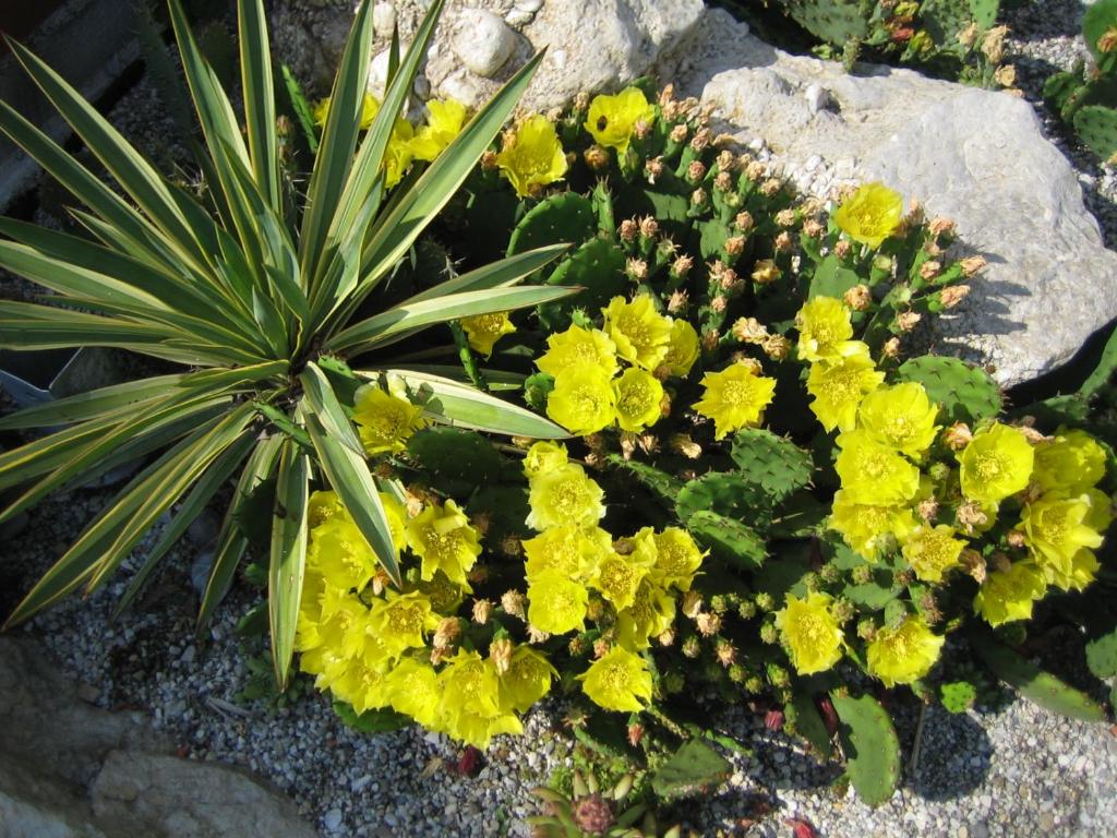 Bed & Breakfast - 14