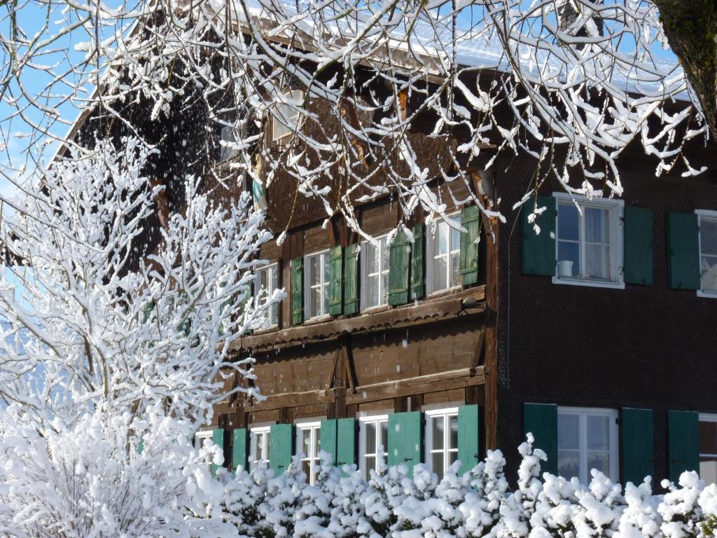een gebouw met sneeuw bedekte bomen ervoor bij Rosenhof in Görisried