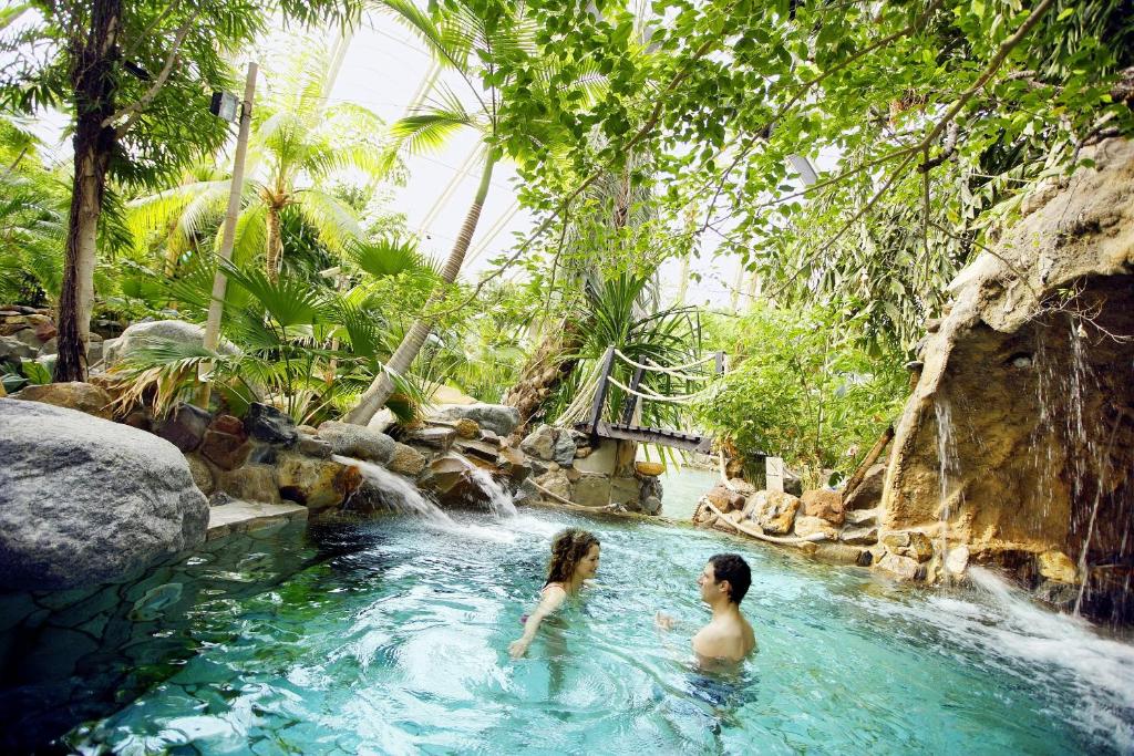 Bazén v ubytování Center Parcs Erperheide nebo v jeho okolí