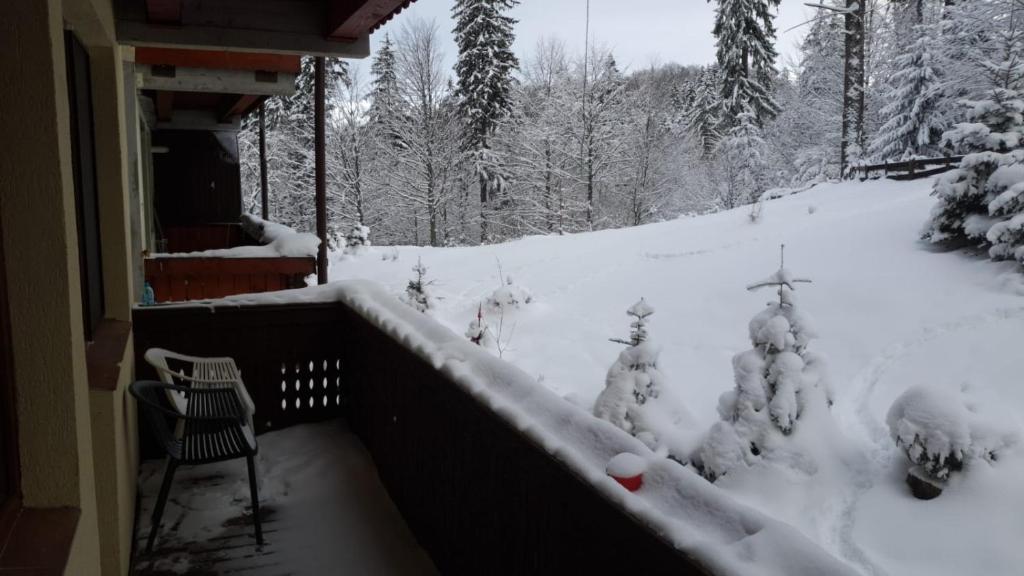 un balcon couvert de neige avec une chaise et des arbres dans l'établissement Fairytale apartment close to Bradu Ski Slope, à Poiana Brasov