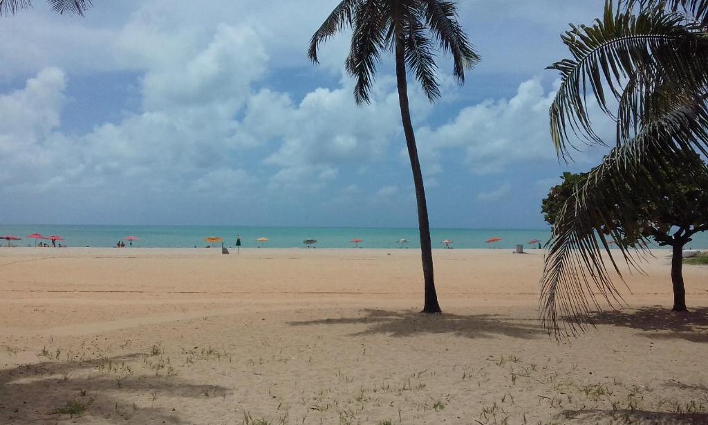 una playa con dos palmeras y el océano en Flat no Cabo Branco, en João Pessoa