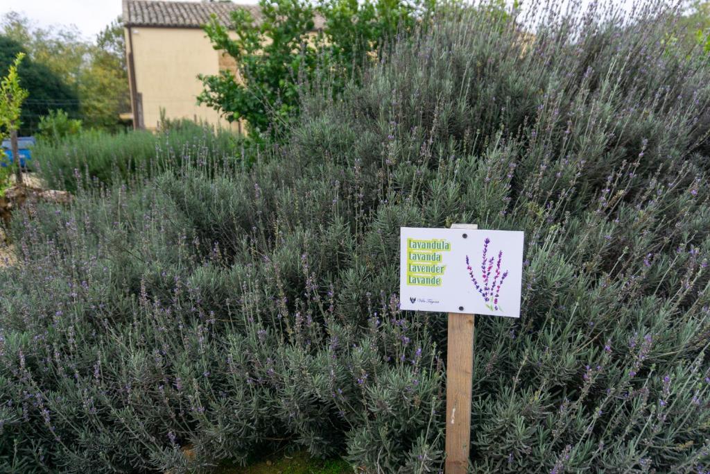Zahrada ubytování Villa Trigona